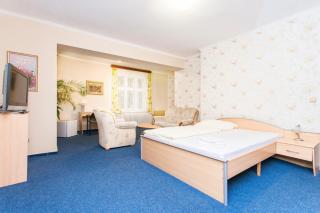 Hotel Grand - Tanvald - 5