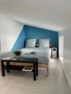 Douceur Stéphanoise - T2 COSY - Saint-Étienne - 5