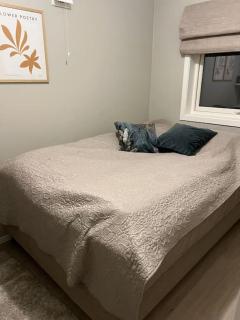 Northen Light, Aurora - 8