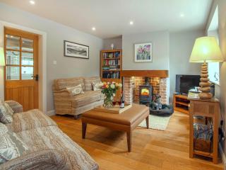 Pond View Cottage - Brantingham - 9