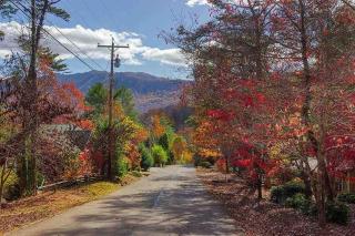 Cozy Cabin Smoky Mountains - Hot tub, pool, & golf - 5