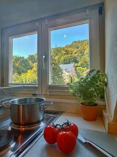 Gemütliches Studio - Dachwohnung mit Blick über das Kinzigtal - Gelnhausen - 8