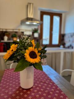 Borgo di Sopra 51 - Ronciglione - 1