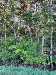 Tauhou Matakana - Matakana - 3