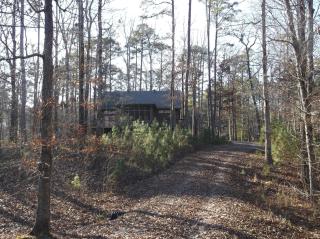 Woodland Hideaway Haven - 7
