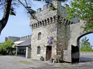 Hen Wrych Hall Tower - Abergele - 0