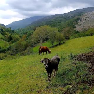 El Rincón de la Naturaleza - El Avellanal - 1