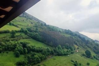 El Rincón de la Naturaleza - El Avellanal - 8