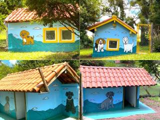 Flores de Cunha - Cunha - 5