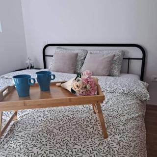 Apartman Miljevic - Zlatibor - 4