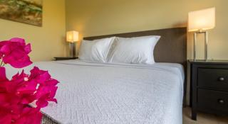 Tropical Treasure - Penthouse at the Spanish Water - Willemstad - 1