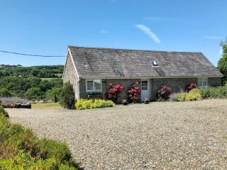 Cych Cottage - Capel-Ifan - 0