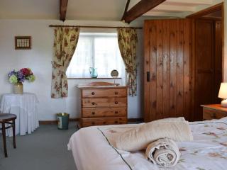 Cych Cottage - Capel-Ifan - 4