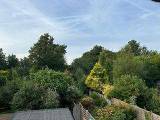 two bedroom south down cottage - Storrington - 2