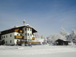 Schnöllhof - Sankt Martin am Tennengebirge - 8