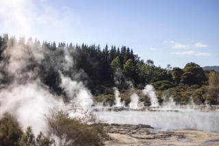 Tasman Holiday Parks - Rotorua - Rotorua - 7