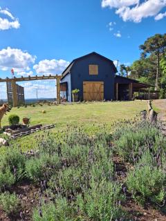 Casa Celeiro Flores no Pampa-RS - 0