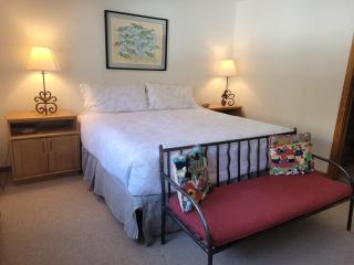 Trailside Treasure at Riverside - Sleeps 8, Telluride at its finest! - 4