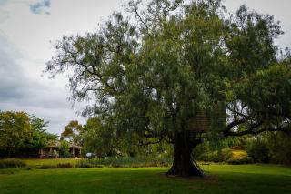 Charming Garfield Farm Stay 4BR Holiday Villa - 3
