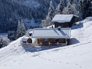 Siedelhütte - Gerlos - 0