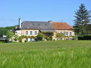Lavende - Dégagnac - 7