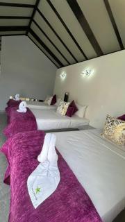 STAR CENTER Hotel Boutique - Rionegro - 3