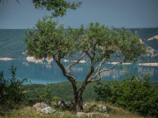 Verdon - 4