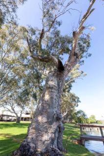 31 Khartoum Road - Mannum - 9
