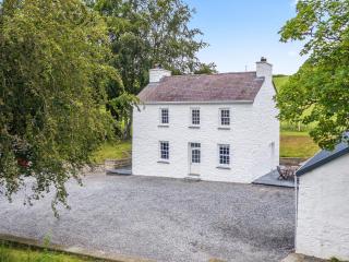 Croft Y Beudy - Henfynyw Upper - 0