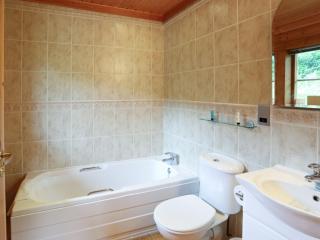 Kingfisher Lodge - Hagwothingham - 4