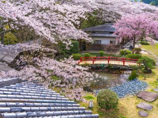 Oukai Villa Izumi - Izumi - 4