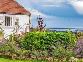 Lucklaw Steading Cottage - Logie - 0