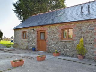 Hen Llaeth - Uk11209 - 0