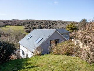 Little Foxes - Perranporth - 8