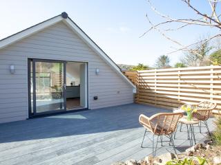 Little Foxes - Perranporth - 3