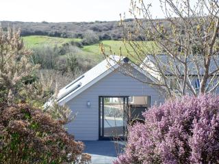 Little Foxes - Perranporth - 9