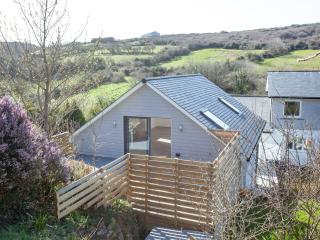 Little Foxes - Perranporth - 5