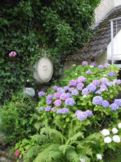 Villa Luzia - Meuspath - 5