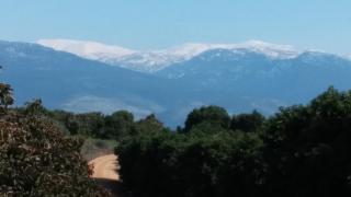 Greek Relaxation - 2