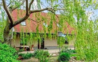 Ferienhaus Rechlin - Rechlin - 1