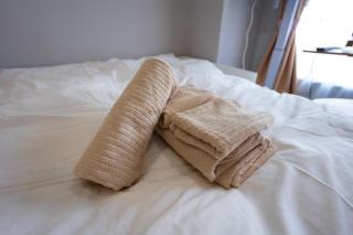 Tokyo Yamate line Takadanobaba station one room partment - 8