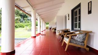 Greenearthcoorg - Kurchi - 7