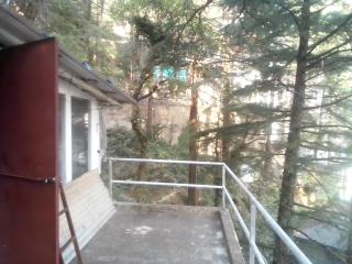 Himalayan Bed & Breakfast - Dharamshala - 5