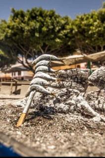 Morche Apartamento a 1 min de la playa - El Morche - 5