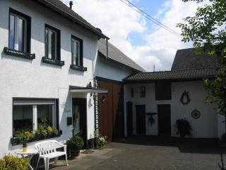 Villa Luzia - Meuspath - 8
