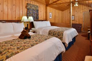Buffalo Bill Cabin Village - Cody - 5