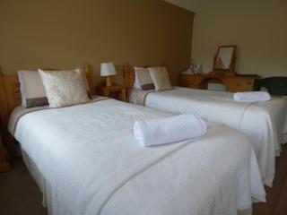 Parkhouse B&B - Bunratty - 3