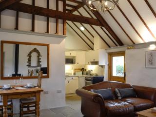 Teal - Llangennith - 9