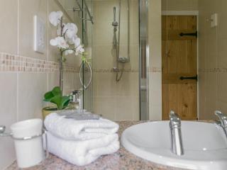 Teal - Llangennith - 5