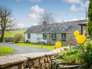 Teal - Llangennith - 4